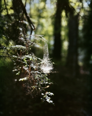 Janelle Lynch, Pendant, 2020