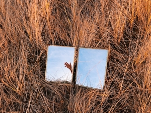 Image: Erica Reade, Untitled, Fort Tilden Park, 2021